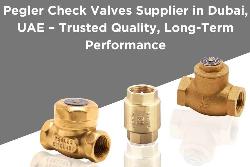 pegler check valves supplier dubai uae
